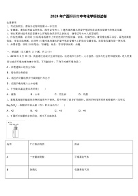 2024 年广西柳州市中考化学模似试卷（解析版）