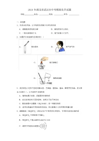 2024 年湖北省武汉市中考模拟化学试题（解析版）