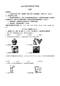 2024年陕西省延安市初中学业水平考试化学模拟试卷P