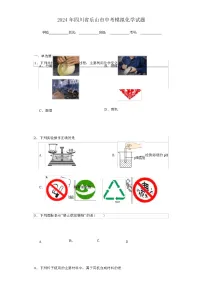 2024 年四川省乐山市中考模拟化学试题（解析版）