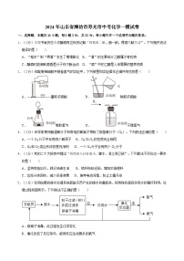 2024年山东省潍坊市寿光市中考一模化学试卷