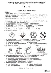 2024年广西玉林市中考一模化学试题