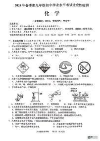 2024年广西玉林市中考一模化学试题