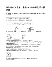 四川省内江市第二中学2024年中考化学一模试题