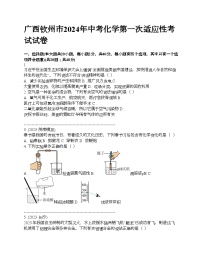 广西钦州市2024年中考化学第一次适应性考试试卷