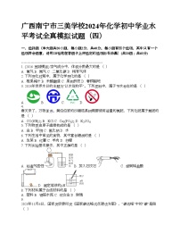 广西南宁市三美学校2024年化学初中学业水平考试全真模拟试题（四）