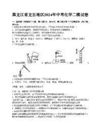 黑龙江省龙东地区2024年中考化学二模试卷