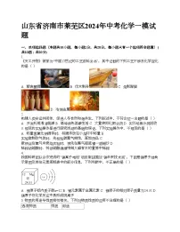山东省济南市莱芜区2024年中考化学一模试题