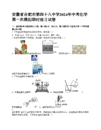 安徽省合肥市第四十八中学2024年中考化学第一次模拟限时练习试卷