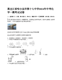 黑龙江省哈尔滨市第十七中学2024年中考化学一模考试试卷