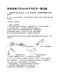 陕西省铜川市2024年中考化学一模试题