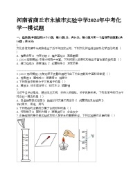 河南省商丘市永城市实验中学2024年中考化学一模试题