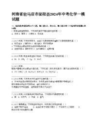 河南省驻马店市泌阳县2024年中考化学一模试题