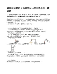 湖南省益阳市大通湖区2024年中考化学一模试题