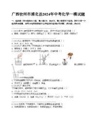 广西钦州市浦北县2024年中考化学一模试题