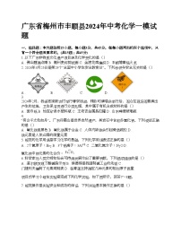 广东省梅州市丰顺县2024年中考化学一模试题