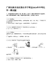 广西壮族自治区崇左市宁明县2024年中考化学一模试题