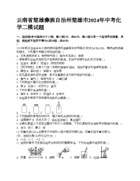 云南省楚雄彝族自治州楚雄市2024年中考化学二模试题 (1)