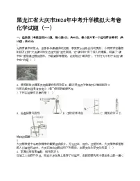 黑龙江省大庆市2024年中考升学模拟大考卷化学试题（一）
