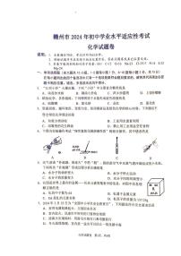 2024年江西省赣州市中考适应性考试化学试题