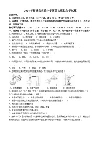 2024年河南省商丘市柘城县实验中学中考第四次模拟化学试题