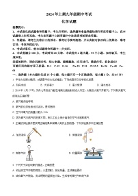 湖南省永州市2023-2024学年九年级下学期期中考试（二模）化学试题（原卷版+解析版）