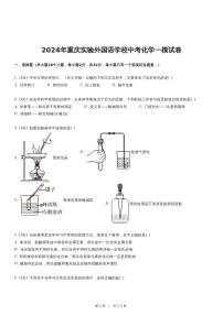 2024年重庆实验外国语学校中考化学一模试卷(1)
