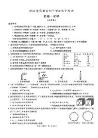 21，2024年安徽省初中学业水平考试化学试卷（乾卷）