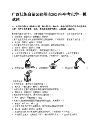 广西壮族自治区钦州市2024年中考化学一模试题