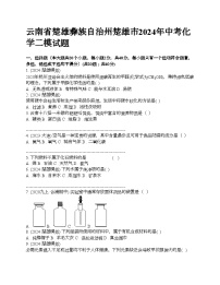 云南省楚雄彝族自治州楚雄市2024年中考化学二模试题