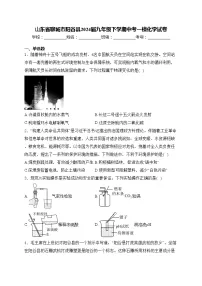 山东省聊城市阳谷县2024届九年级下学期中考一模化学试卷(含答案)