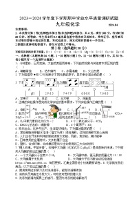 03，山东省临沂市罗庄区2023-2024学年九年级下学期期中考试化学试题