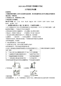 12，山东省泰安市肥城市2023-2024学年九年级下化学期中试题(无答案)