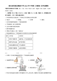 2024年湖北省阳新县陶港镇初级中学中考第三次模拟 化学试题卷（原卷版+解析版）