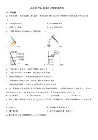 山东省 2024 年中考化学模拟试题（解析版）