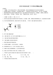 2024 年福建省厦门市中考化学模似试卷（解析版）