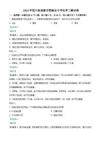 2024年四川省成都市武侯区中考二模化学试卷