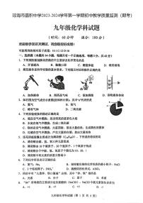 05，海南省琼海市嘉积中学2023-2024学年九年级上学期期末考试化学试题