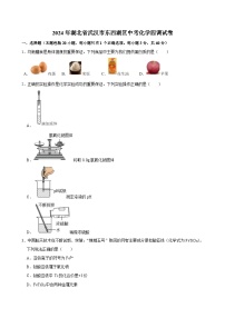 2024年湖北省武汉市东西湖区中考四调化学试卷