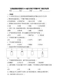 云南省楚雄州楚雄市2024届九年级下学期中考二模化学试卷(含答案)