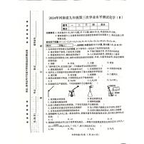 2024年河南省商丘市虞城县中考三模化学试题