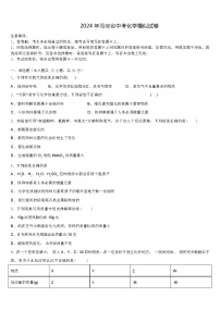 2024 年海南省中考化学模似试卷（解析版）