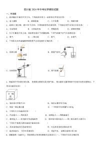 四川省 2024 年中考化学模拟试题（解析版）