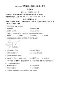 江苏省无锡市新吴区2023-2024学年九年级下学期期中测试化学试卷（原卷版+解析版）