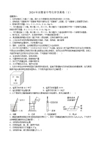 2024年安徽省中考化学仿真卷（1）