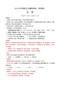 化学（河南卷）-2024年中考第三次模拟考试(含答题卡及答案解析)