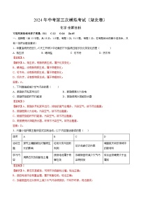 化学（湖北卷）-2024年中考第三次模拟考试(含答题卡及答案解析)