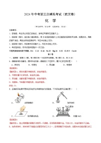 化学（武汉卷）-2024年中考第三次模拟考试(含答题卡及答案解析)