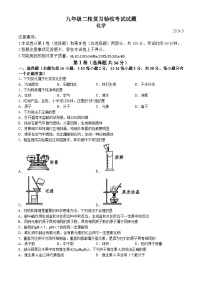 2024年山东省临沂市蒙阴县中考二模化学试题