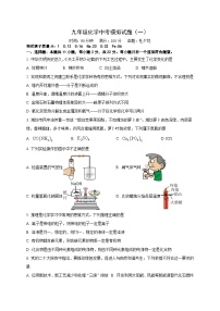 2024年山东省潍坊市中考模拟化学试题（一）